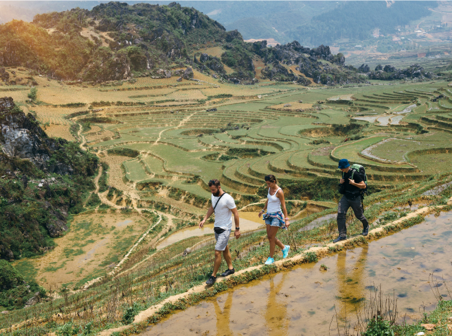 Tourists hiking in the mountains with backpack near rice terraces in Sapa in Vietnam