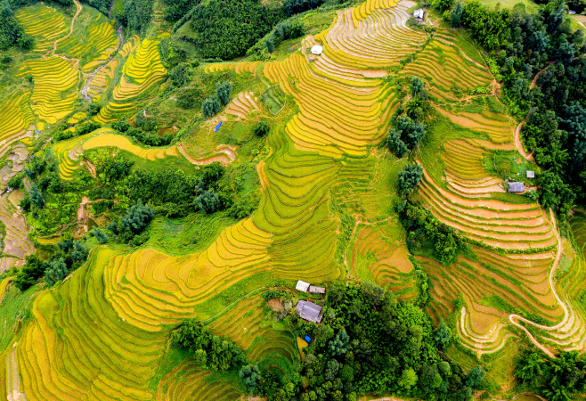 Sapa's Rice Terraces is a visual symphony 