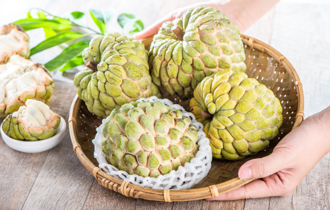 The custard apple, or "na" as it is known in Vietnamese