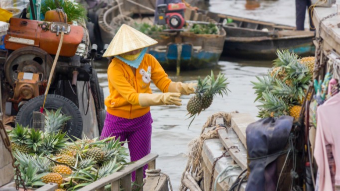 Fruit orchards Mekong Delta