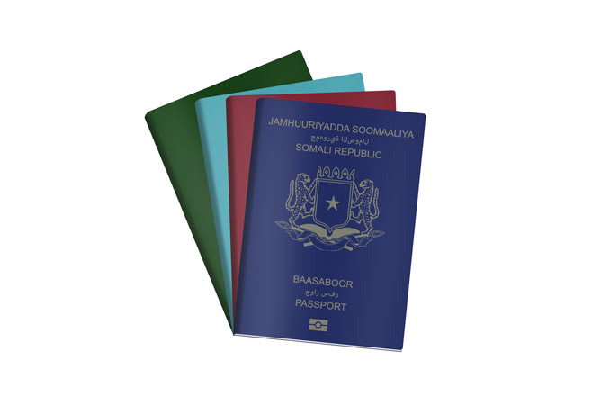 Vietnam Visa Requirements for Somalis