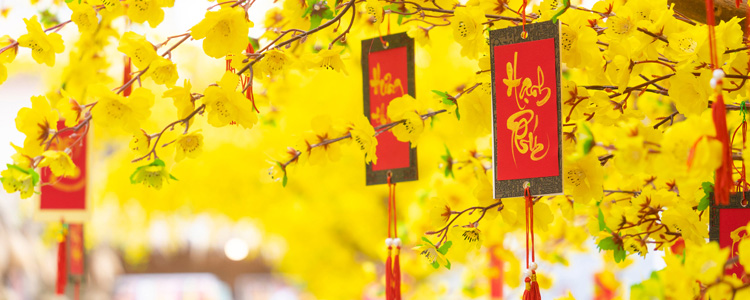 Tet Festival